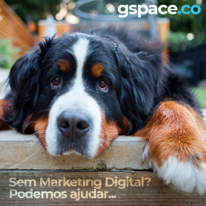 Agência de Marketing Digital Limeira