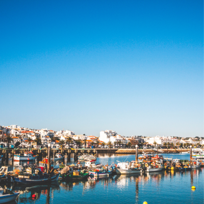 capaa site (1080 × 1080 px) (5)